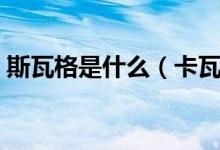 斯瓦格是什么（卡瓦斯和格瓦斯有什么區(qū)別）