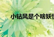 小鉆風(fēng)是個(gè)啥妖怪（小鉆風(fēng)是什么梗）