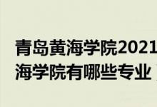 青島黃海學院2021招生人數(shù)（2022年青島黃海學院有哪些專業(yè)）
