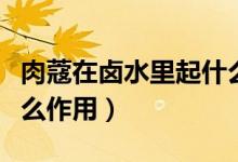 肉蔻在鹵水里起什么作用（肉寇在鹵水中起什么作用）