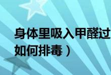 身體里吸入甲醛過多,怎么排毒（吸了甲醛后如何排毒）