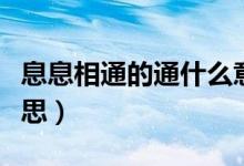 息息相通的通什么意思（息息相通的通什么意思）