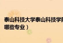 泰山科技大學泰山科技學院是幾本（2022年泰山科技學院有哪些專業(yè)）