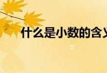 什么是小數(shù)的含義（什么是小贏錢包）