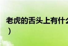 老虎的舌頭上有什么（老虎的舌頭上有倒刺嗎）