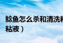 鯰魚怎么殺和清洗粘液圖（鯰魚怎么殺和清洗粘液）