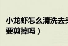 小龍蝦怎么清洗去頭（小龍蝦怎么清洗頭部需要剪掉嗎）