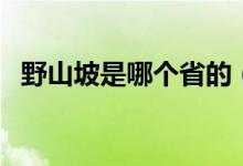 野山坡是哪個(gè)省的（野山坡屬于那個(gè)地區(qū)）