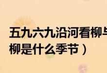 五九六九沿河看柳與啥有關(guān)（五九六九沿河看柳是什么季節(jié)）
