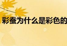 彩蠶為什么是彩色的（彩蠶為什么是彩色的）
