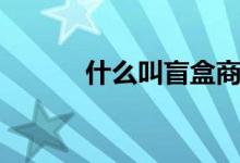 什么叫盲盒商品（什么叫盲審）