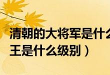 清朝的大將軍是什么級別的官員（清朝大將軍王是什么級別）