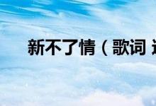 新不了情（歌詞 這首歌的資料是什么）