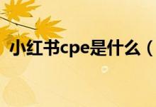 小紅書cpe是什么（小紅書cpe是什么意思）