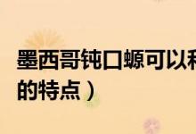 墨西哥鈍口螈可以和魚共養(yǎng)嗎（墨西哥鈍口螈的特點(diǎn)）