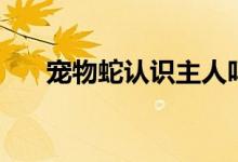 寵物蛇認(rèn)識主人嗎（寵物蛇認(rèn)主人嗎）