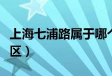 上海七浦路屬于哪個(gè)區(qū)（上海七浦路屬于哪個(gè)區(qū)）
