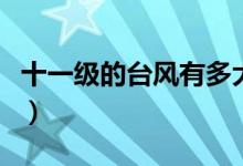 十一級(jí)的臺(tái)風(fēng)有多大（十一級(jí)臺(tái)風(fēng)是什么概念）