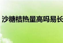 沙糖桔熱量高嗎易長胖嗎（沙糖桔熱量高嗎）