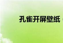 孔雀開屏壁紙（孔雀開屏歇后語）