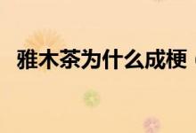 雅木茶為什么成梗（雅木茶為什么叫茶神）