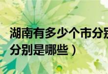 湖南有多少個(gè)市分別是哪些（湖南有多少個(gè)市分別是哪些）