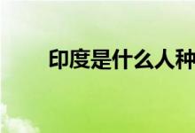 印度是什么人種（印度是什么人種）