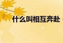 什么叫相互奔赴（什么叫相互作用力）
