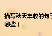 描寫秋天豐收的句子（關(guān)于秋天豐收的句子有哪些）