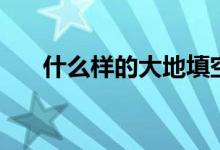 什么樣的大地填空題（什么樣的大地）