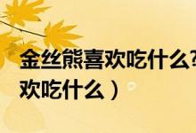 金絲熊喜歡吃什么?（金絲熊吃什么 金絲熊喜歡吃什么）