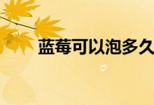 藍(lán)莓可以泡多久（藍(lán)莓可以泡酒嗎）