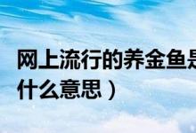 網(wǎng)上流行的養(yǎng)金魚是什么意思（網(wǎng)絡(luò)養(yǎng)金魚是什么意思）