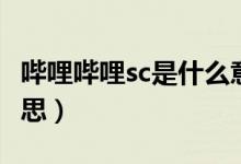 嗶哩嗶哩sc是什么意思（嗶哩嗶哩sc是什么意思）
