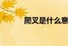 爬叉是什么意思（爬叉是什么）