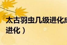 太古羽蟲幾級(jí)進(jìn)化成太古盔甲（太古羽蟲幾級(jí)進(jìn)化）