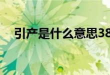 引產(chǎn)是什么意思38周（引產(chǎn)是什么意思）