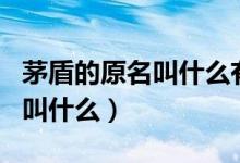 茅盾的原名叫什么有什么代表作（茅盾的原名叫什么）