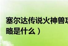 塞爾達(dá)傳說火神獸攻略（塞爾達(dá)傳說火神獸攻略是什么）