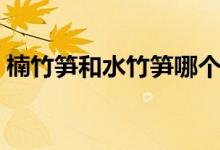 楠竹筍和水竹筍哪個好（水竹筍又叫什么筍）