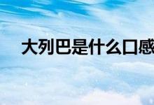 大列巴是什么口感（大列巴是什么東西）