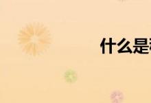 什么是穩(wěn)健性檢驗(yàn)