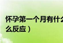 懷孕第一個(gè)月有什么反應(yīng)（懷孕第一個(gè)月有什么反應(yīng)）