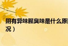 陰有異味腥臭味是什么原因用什么藥（陰道有異味是什么情況）