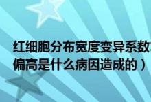 紅細胞分布寬度變異系數(shù)11.50 （紅細胞分布寬度變異系數(shù)偏高是什么病因造成的）