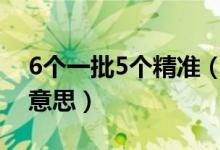 6個一批5個精準(zhǔn)（六個精準(zhǔn)五個一批是什么意思）