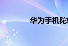 華為手機陀螺儀在設(shè)置哪里