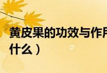 黃皮果的功效與作用（黃皮果的功效與作用是什么）