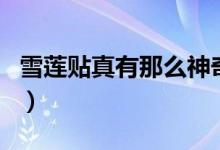 雪蓮貼真有那么神奇（雪蓮貼真有那么神奇嗎）