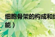 細胞骨架的構成和結構（細胞骨架的構成及功能）